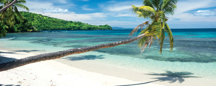 Independent Naturally New Zealand with Fiji