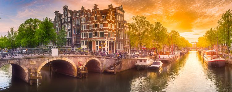 The Rhine & Moselle: Canals, Vineyards & Castles with 1 Night in Amsterdam