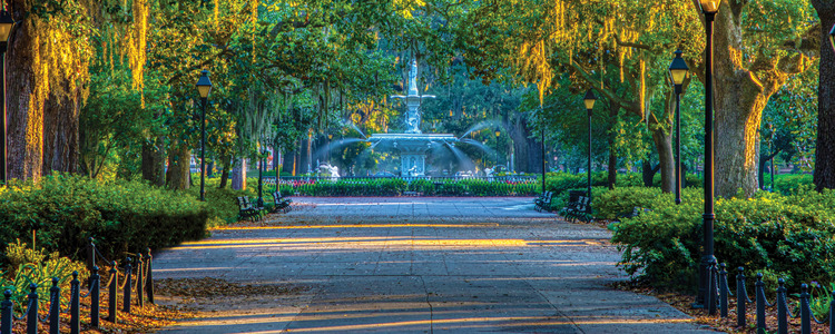 The Old South & Florida