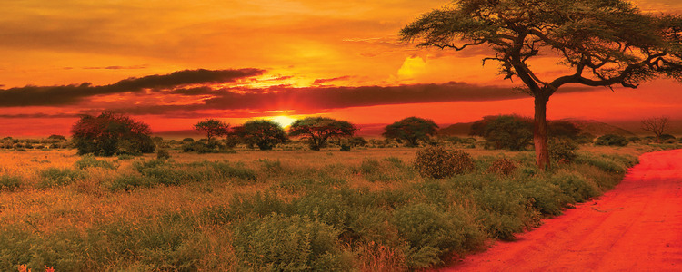 Tanzania: The Serengeti & Beyond
