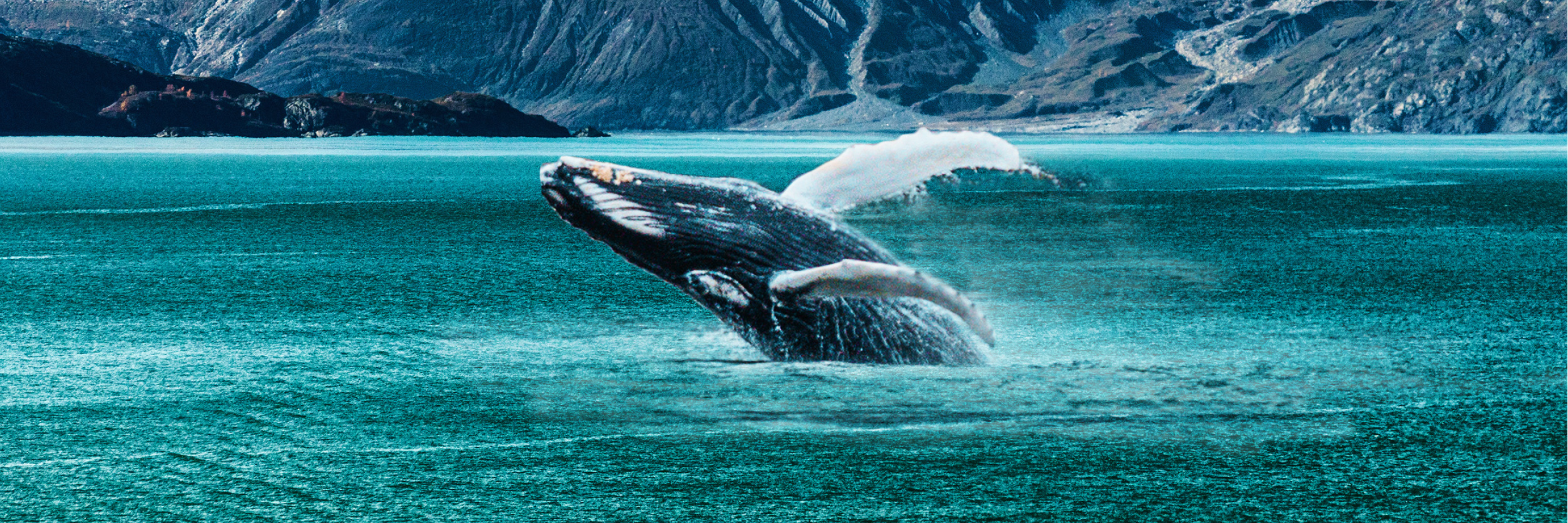 Explore Alaska with Cosmos