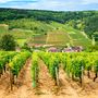 View Saone-river profile_image gallery_Burgandy.jpg