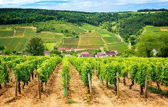 Saone-river profile_image gallery_Burgandy.jpg