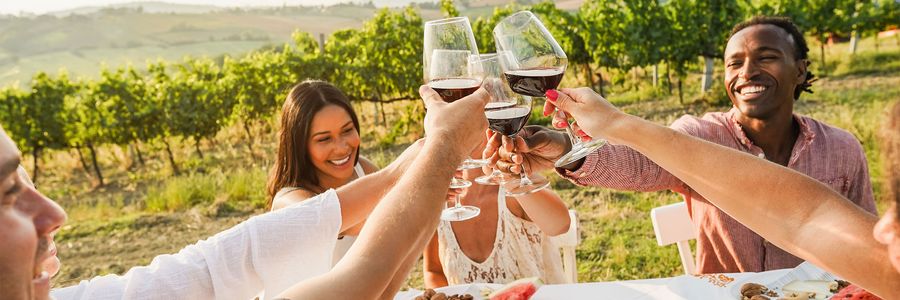 Cosmos small groups enjoying wine tasting on a tour