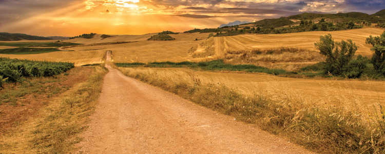 The Camino, a Walking Journey for the Soul