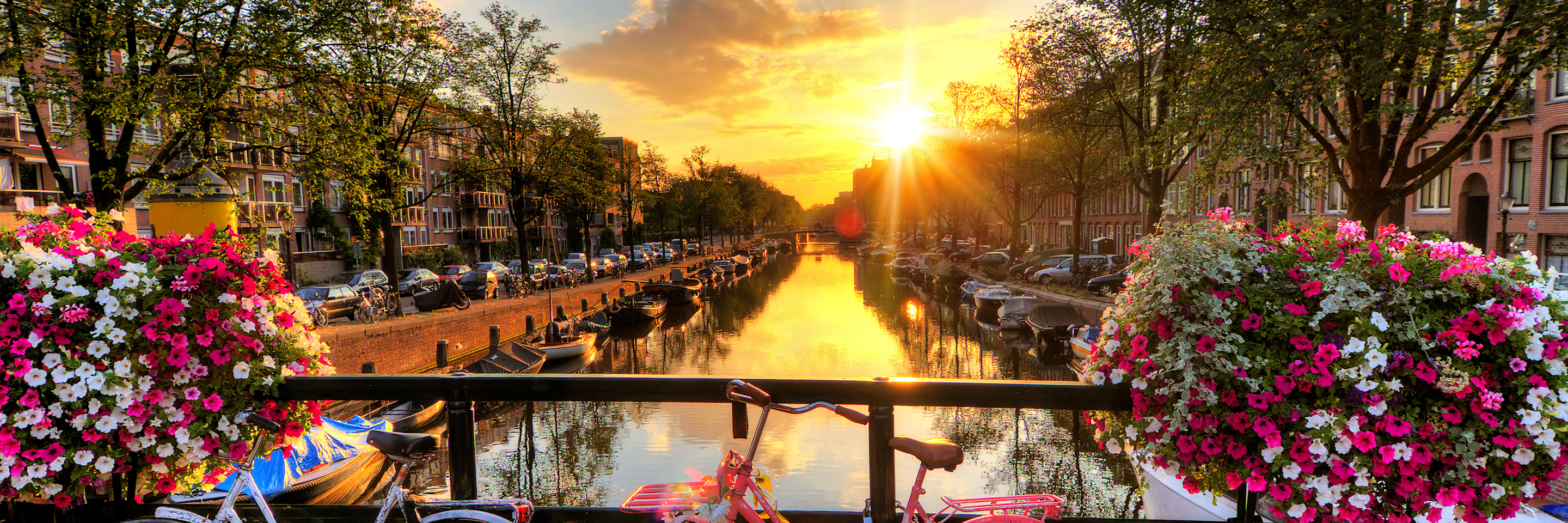 Tulip Time in Holland & Belgium for Garden and Nature Lovers with 1 Night in Amsterdam