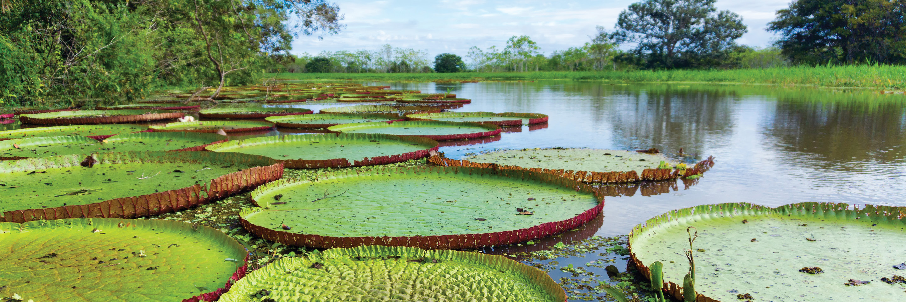 Tour Package Peru Globus® Peru