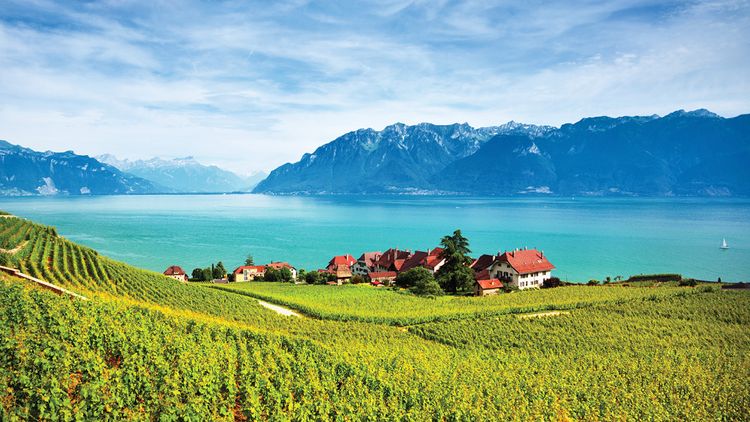 Switzerland by Design