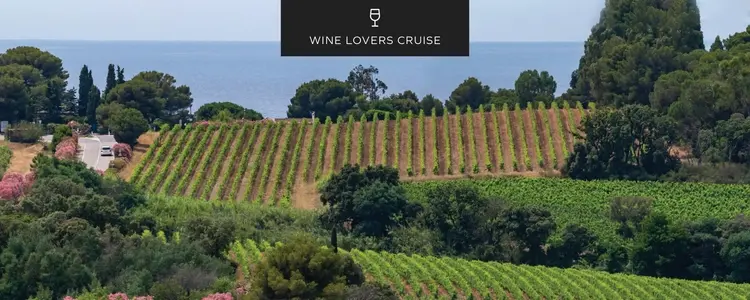 France Unveiled: Seine & Rhône with 2 Nights in French Riviera for Wine Lovers