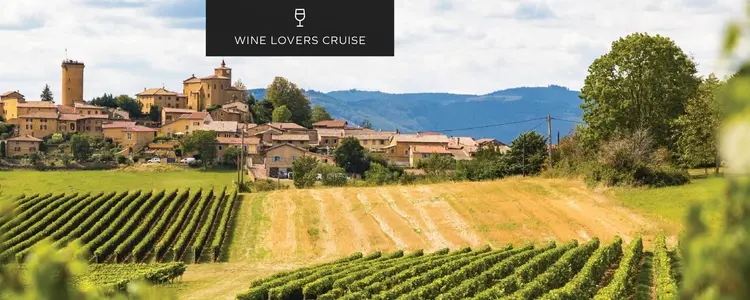 France Unveiled: Seine & Rhône for Wine Lovers