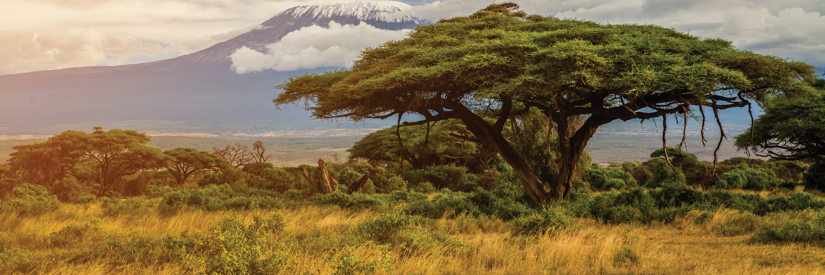 Tanzanian Legendary Expeditions - Travel Experience