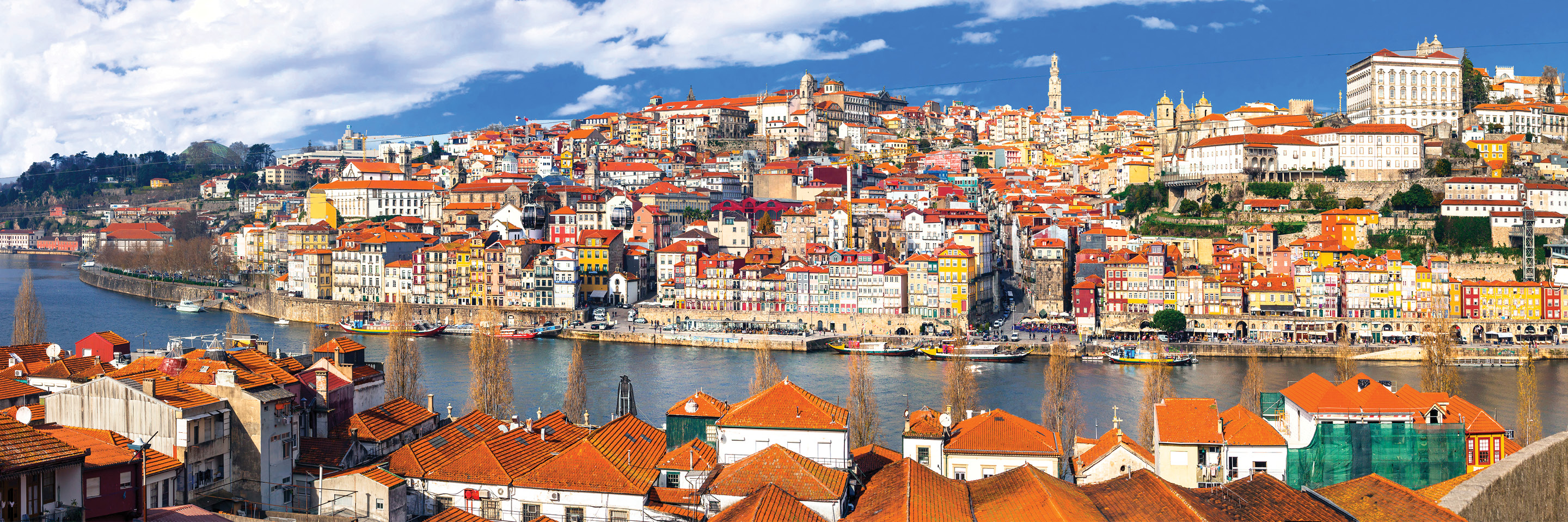 Vida Portugal:  Vineyards & Villages Along the Douro