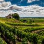 View Garonne Image Gallery BordeauxVineyards 