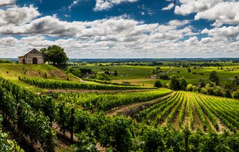 Garonne Image Gallery BordeauxVineyards 