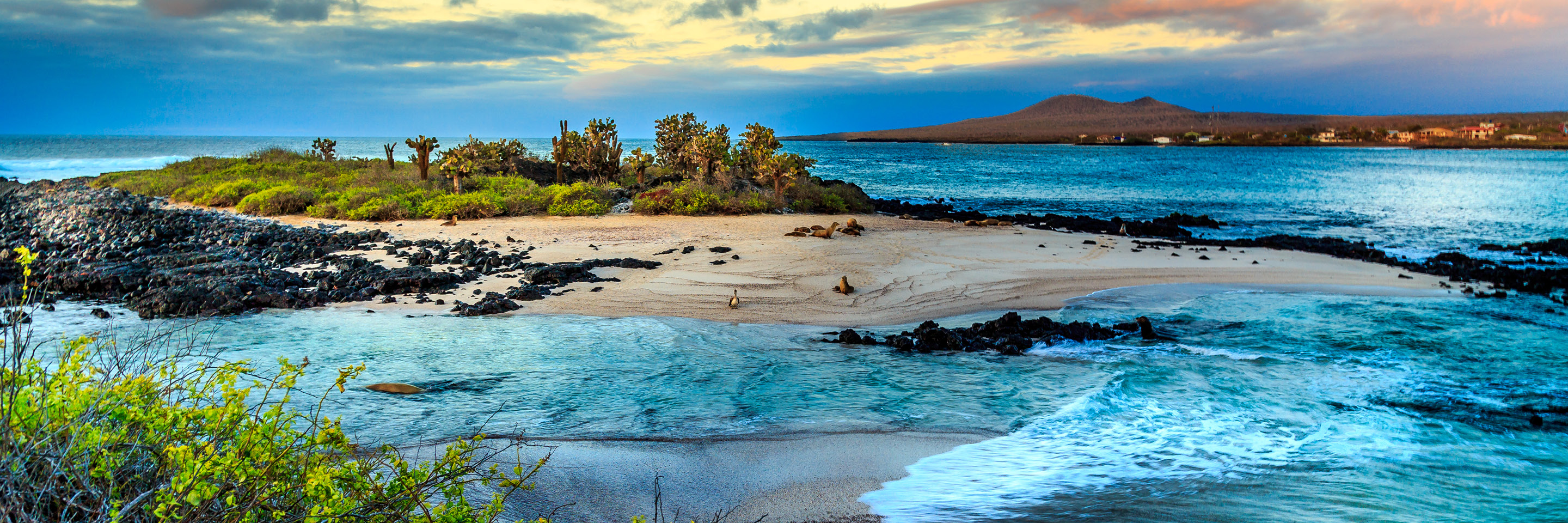 Galapagos Islands_listings_header.jpg