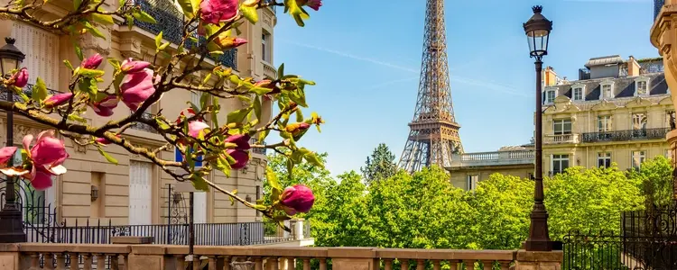 French Rendez -Vous With Paris Extension