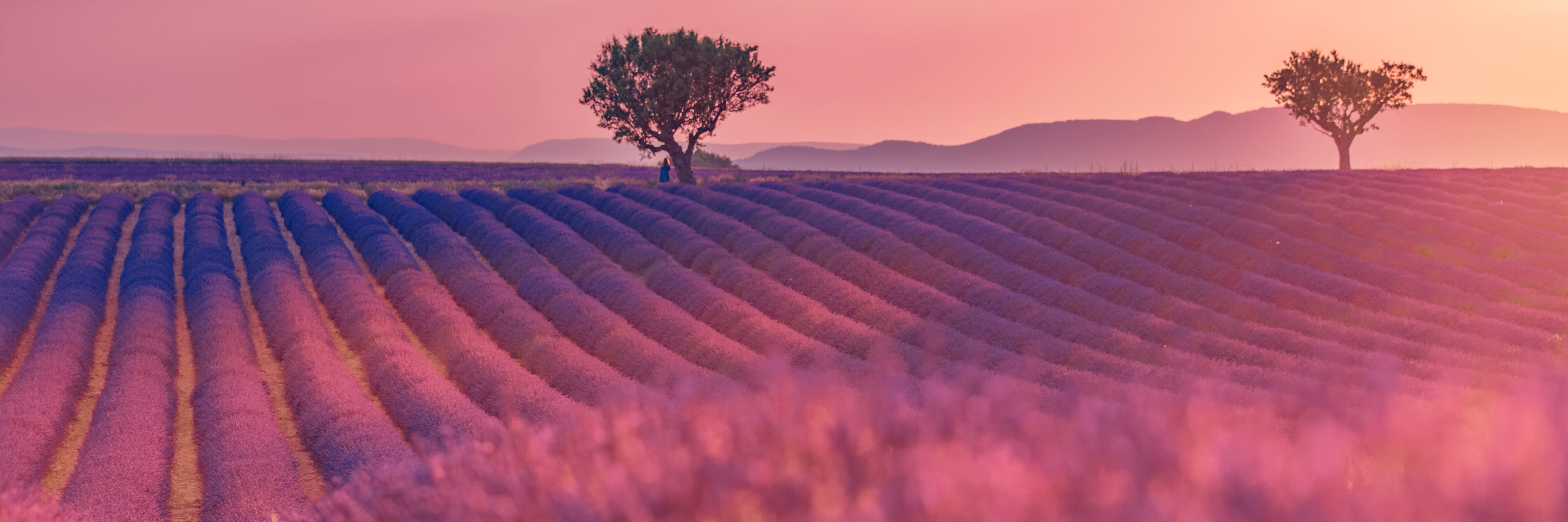 Ways to Travel | Globus Tours