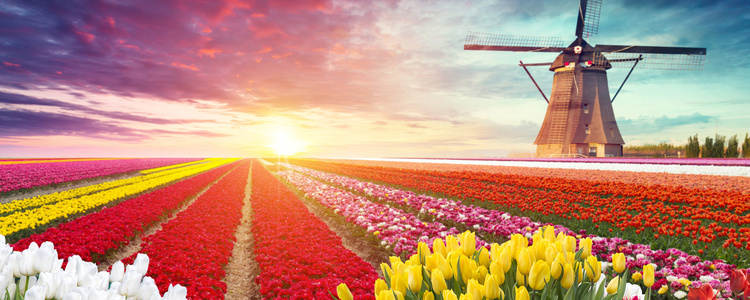 Springtime in Holland & Belgium with  1 Night in Amsterdam