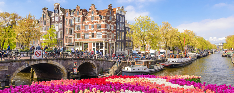 Tulip Time in Holland & Belgium with 1 Night Amsterdam