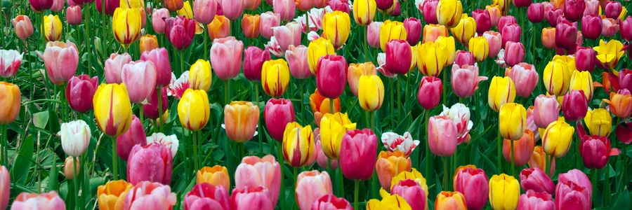 floriade.jpg