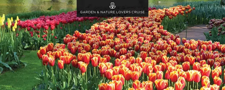 Tulip Time & Romantic Rhine for Garden & Nature Lovers