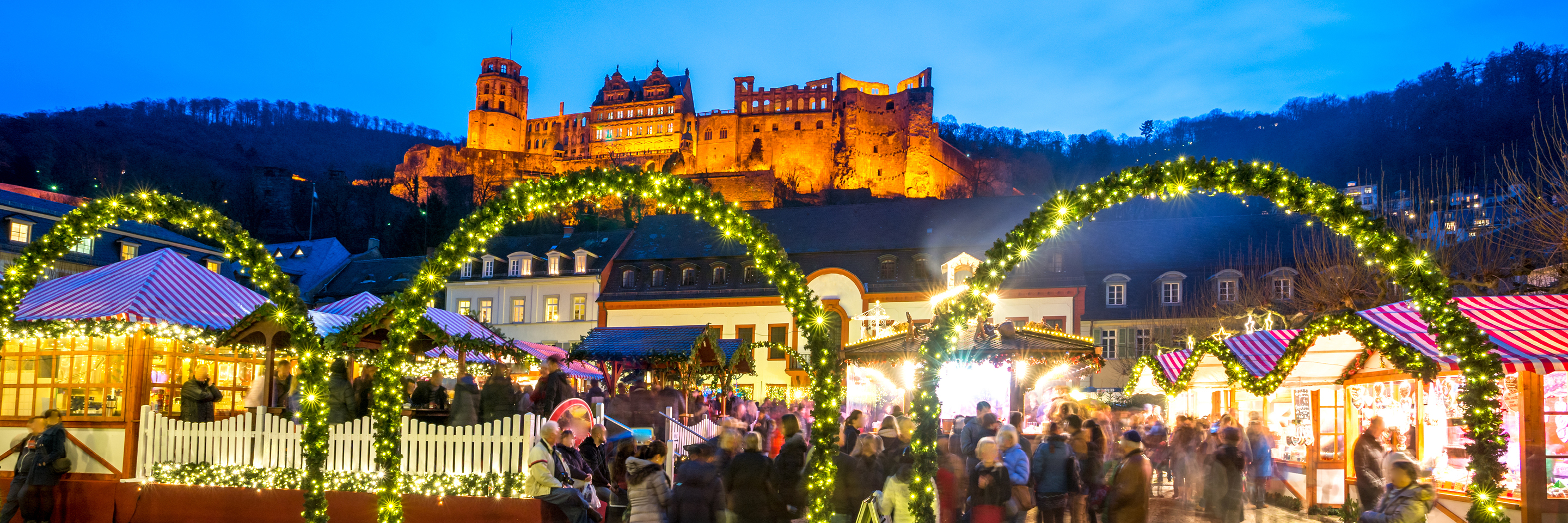 Alsace Tour: Christmas Markets from Strasbourg 2024