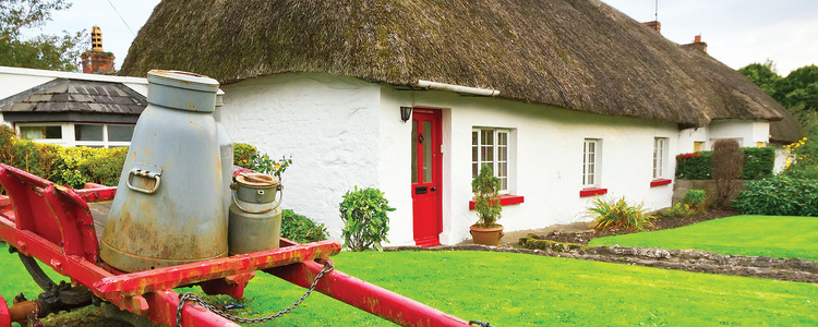 Irish Discovery