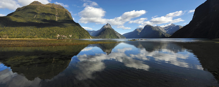 Independent Naturally New Zealand