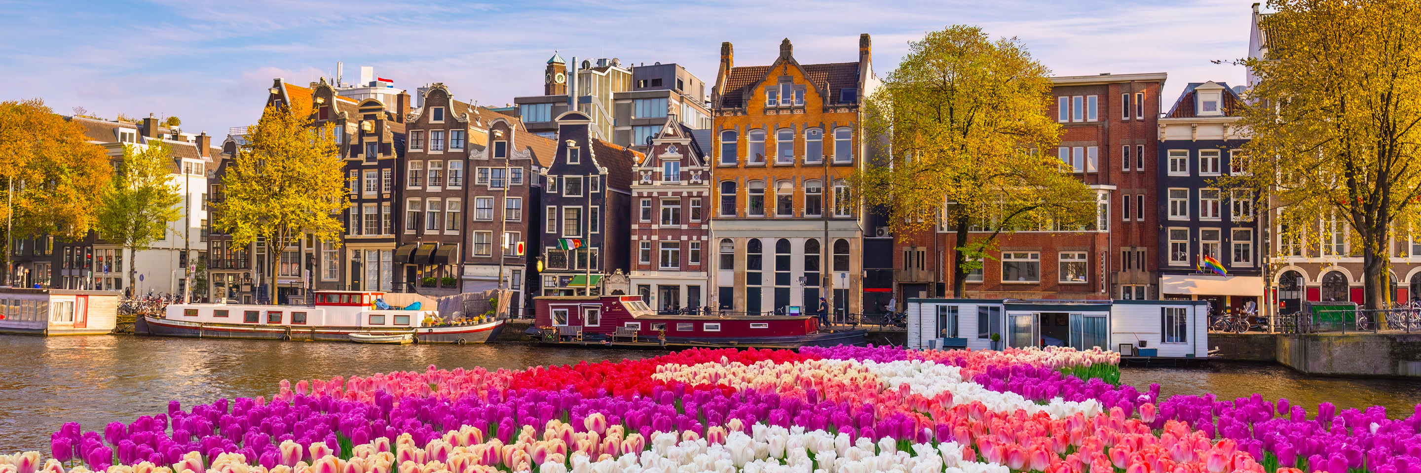 Netherlands_listings_header.jpg
