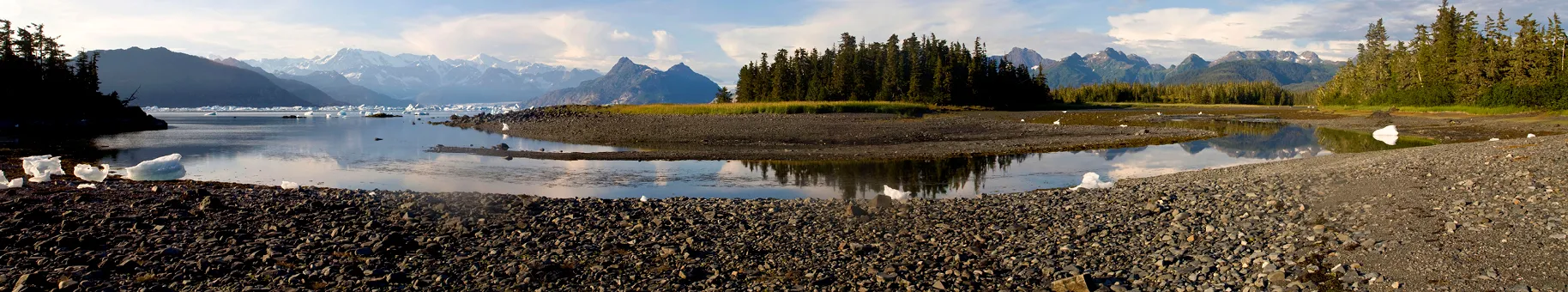 Alaska Tours and Cruises_listings_header.jpg