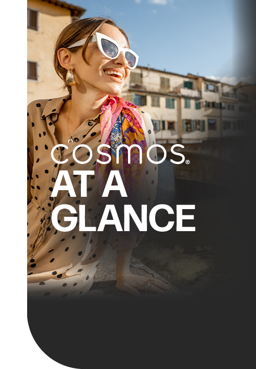 Cosmos at a Glance