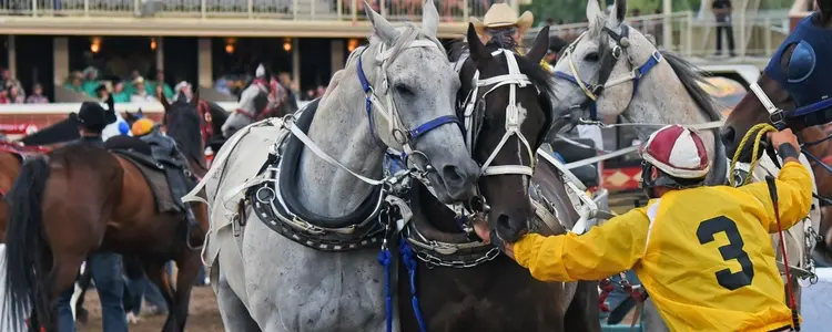 Great Resorts of the Canadian Rockies with Calgary Stampede Pre-Extension