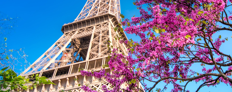 Tulip Time Cruise with 3 Nights in Paris for Garden &  Nature Lovers