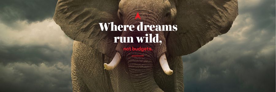 Header Where dreams run wild not budgets