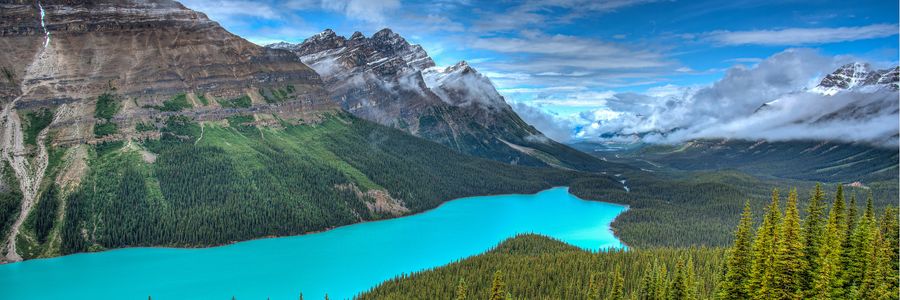 The thrill of exploring your own backyard