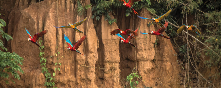Mysteries of the Inca Empire with Peru's Amazon