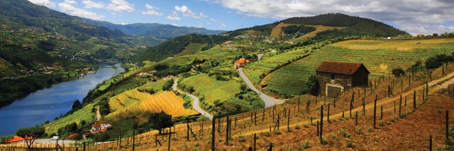 Douro listings page
