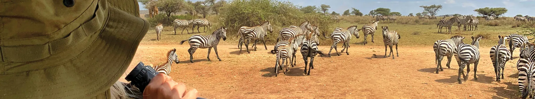 Globus Independent Africa Tours