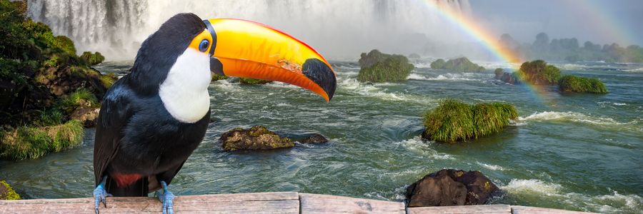 Iguassu Falls Attractions