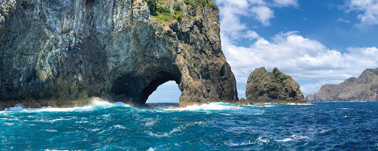 The Magnificent North Island with Bay of Islands