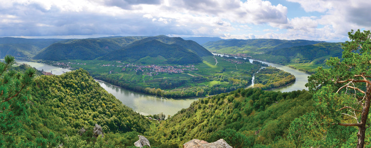 Illuminations of the Danube             