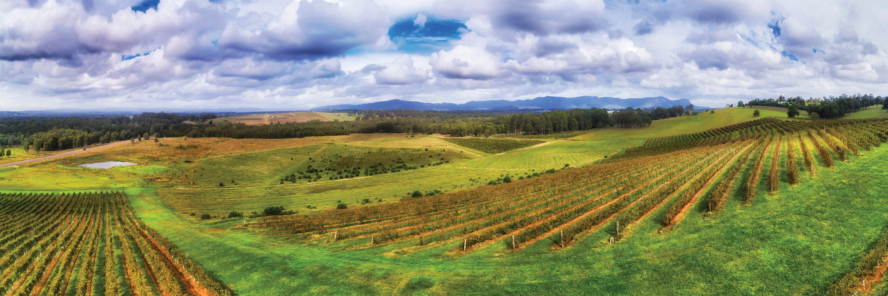 New South Wales Wineries & Countryside 