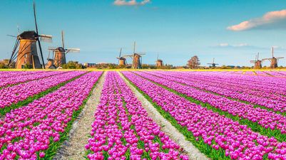  Photo Credit: Avalon Waterways