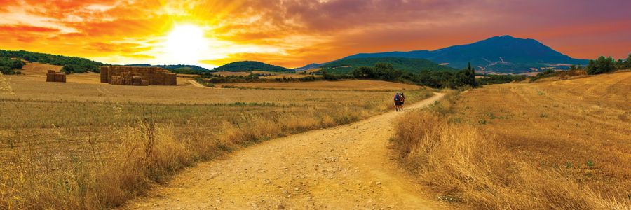 faith header camino de santiago