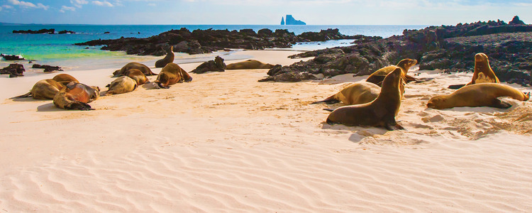 Ultimate South America with Brazil's Amazon & Galapagos Cruise
