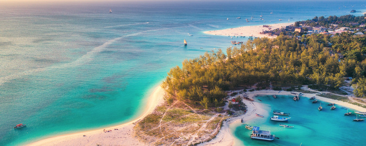 Tanzania: The Serengeti & Beyond with Zanzibar
