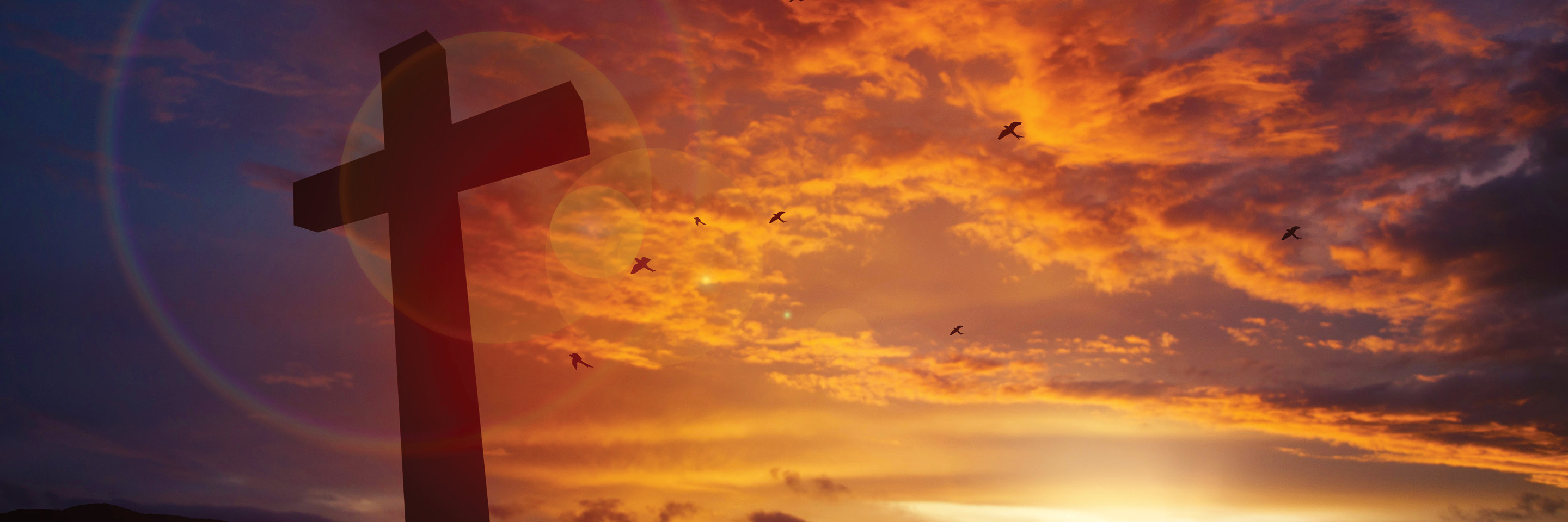 faith header globus