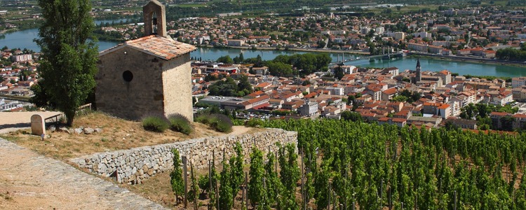 Rhine & Rhône Revealed for
  Wine Lovers (Northbound)