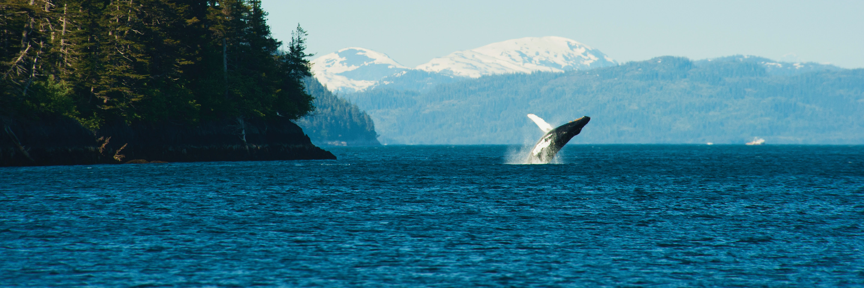 Alaska Tour Package Globus® Alaska Tour