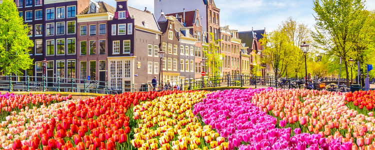 Tulip Time Cruise with 1 Night in Amsterdam